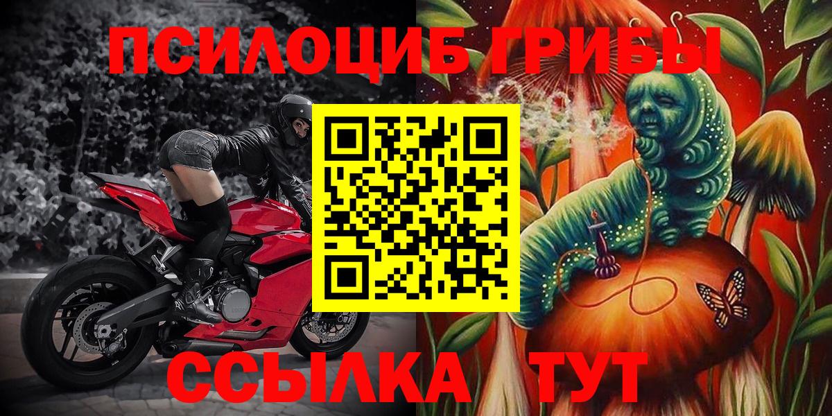 Галлюциногенные грибы мицелий  Вход с VPN  Истра  купить   Галлюциногенные грибы мицелий 