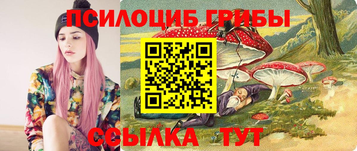 Псилоцибиновые грибы Magic Shrooms Истра